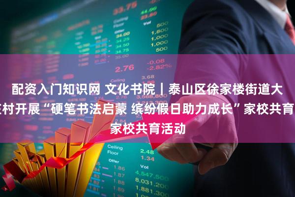 配资入门知识网 文化书院｜泰山区徐家楼街道大官庄村开展“硬笔书法启蒙 缤纷假日助力成长”家校共育活动
