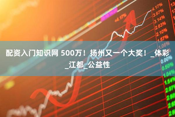 配资入门知识网 500万！扬州又一个大奖！_体彩_江都_公益性