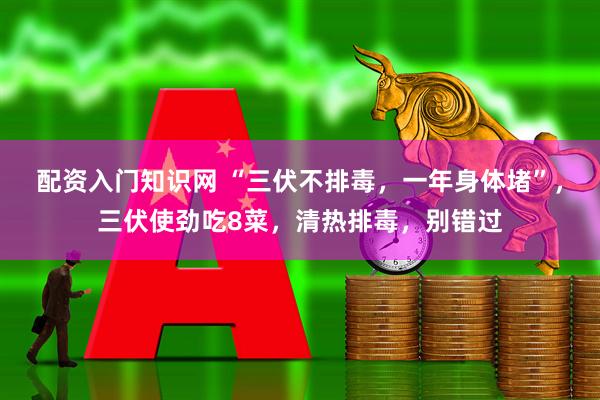 配资入门知识网 “三伏不排毒，一年身体堵”，三伏使劲吃8菜，清热排毒，别错过