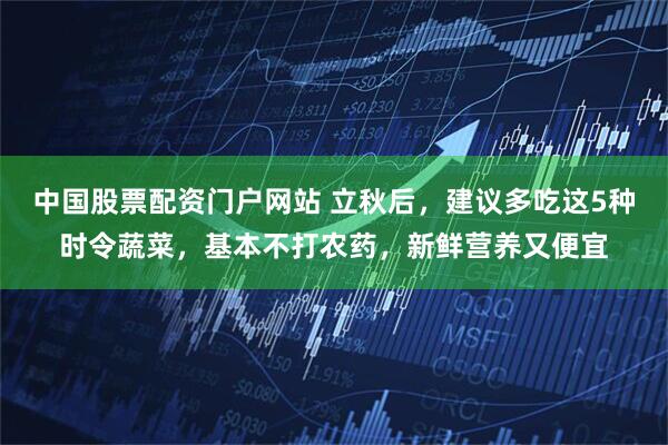 中国股票配资门户网站 立秋后，建议多吃这5种时令蔬菜，基本不打农药，新鲜营养又便宜