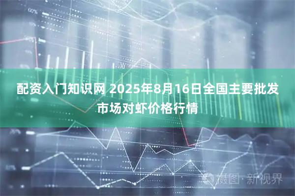 配资入门知识网 2025年8月16日全国主要批发市场对虾价格行情
